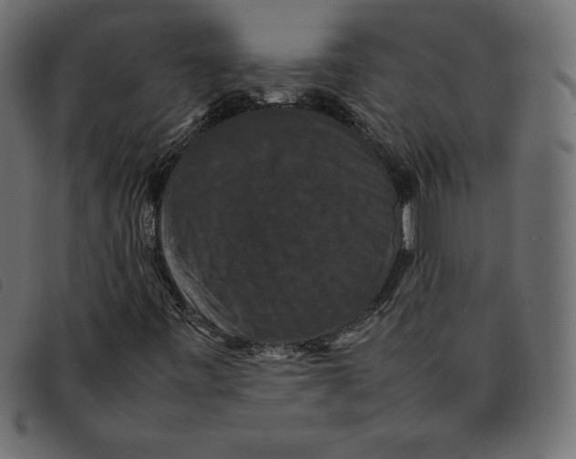 X0000092251443200710121249