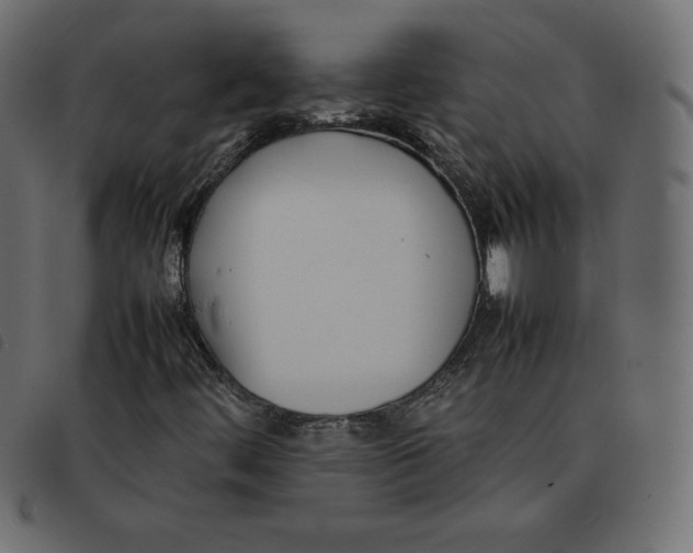 X0000092251444200710121249