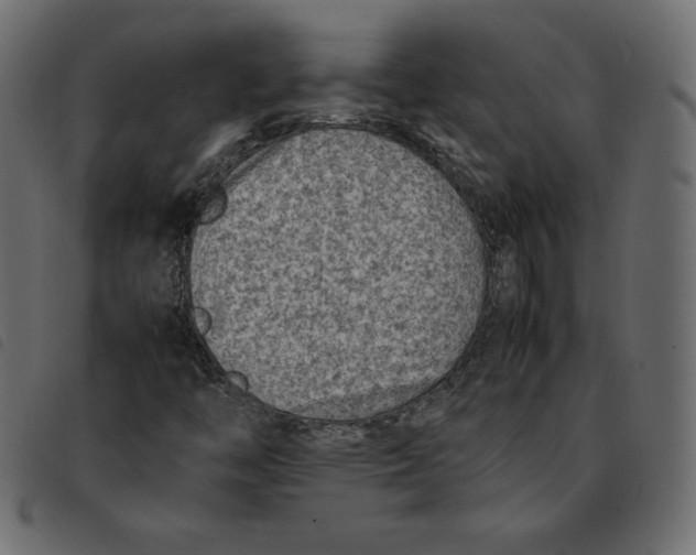 X0000092251446200710121249