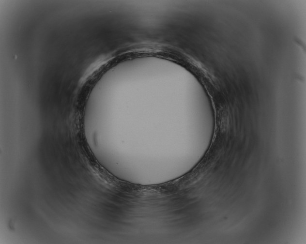 X0000092251448200710121249