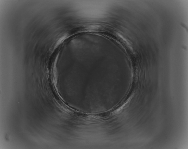 X0000092251449200710121249