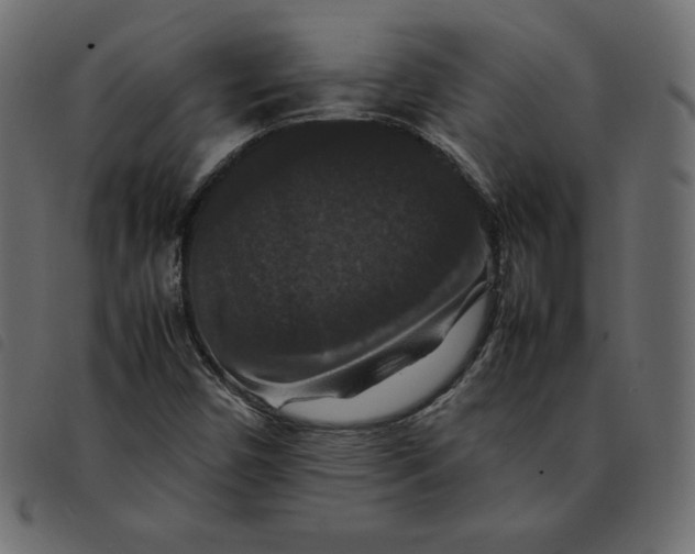 X0000092251450200710121249