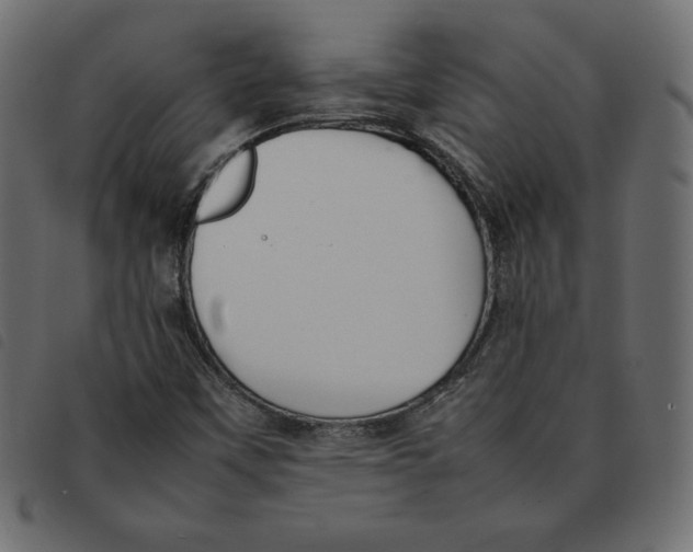 X0000092251451200710121249