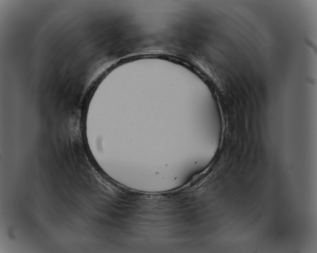 X0000092251452200710121249