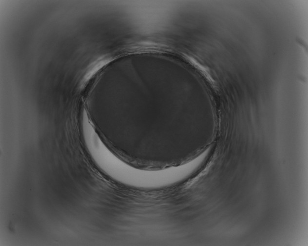X0000092251453200710121249