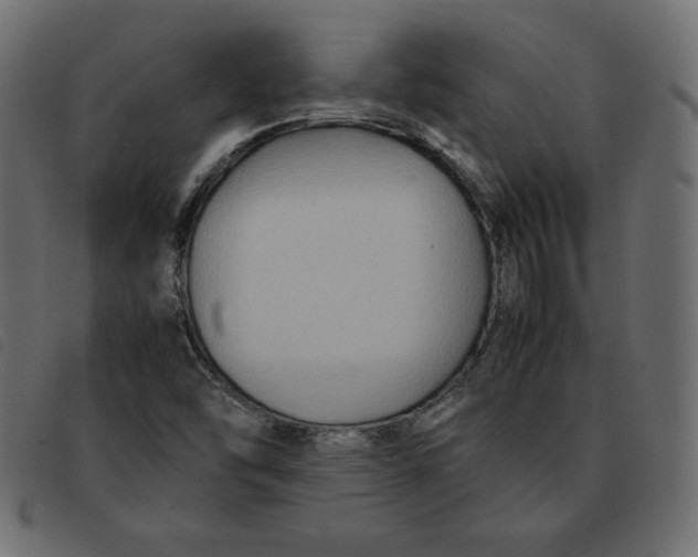 X0000092251454200710121249