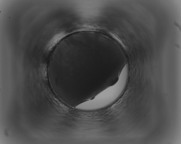 X0000092251455200710121249