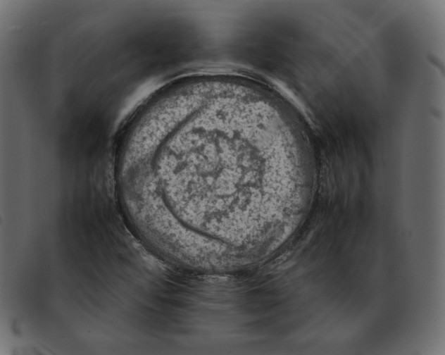 X0000092251456200710121249
