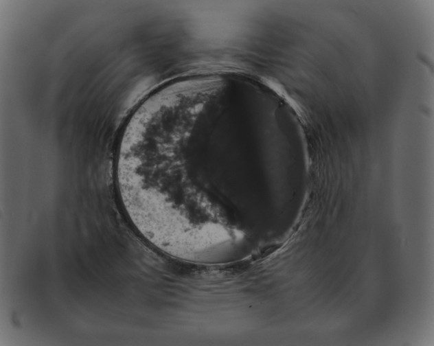 X0000092251459200710121249