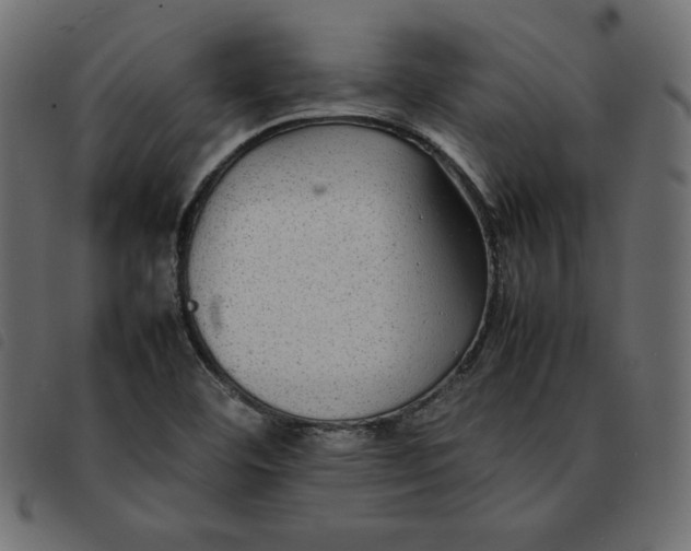 X0000092251460200710121249