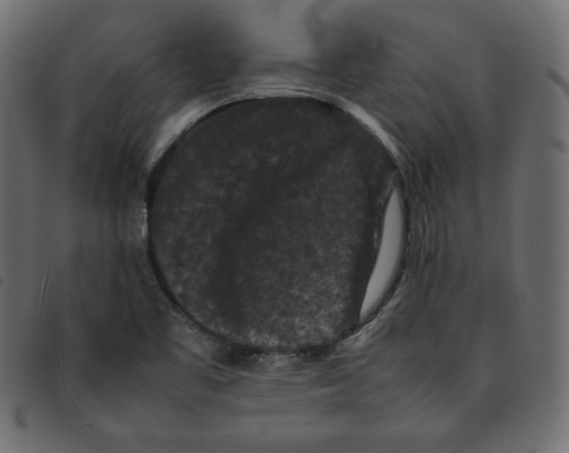 X0000092251461200710121249