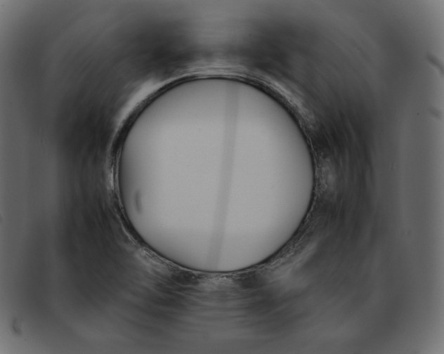 X0000092251462200710121249