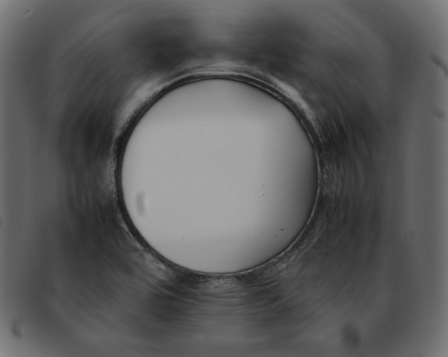 X0000092251464200710121249