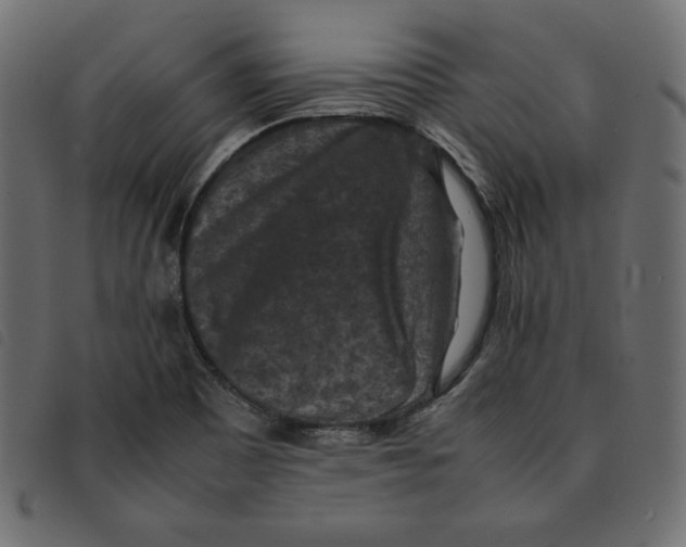 X0000092251465200710121249