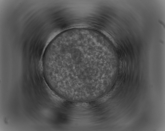 X0000092251466200710121249