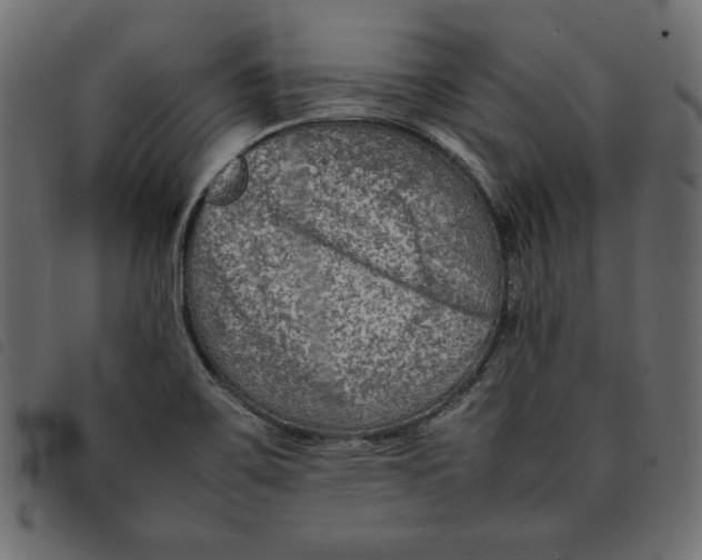 X0000092251467200710121249