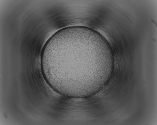 X0000092251468200710121249