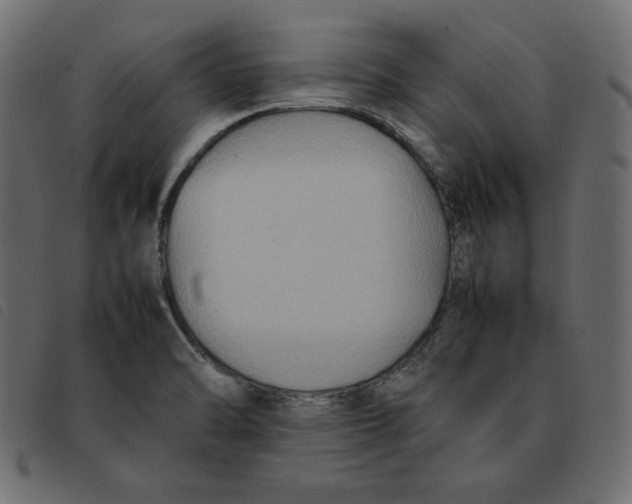 X0000092251470200710121249