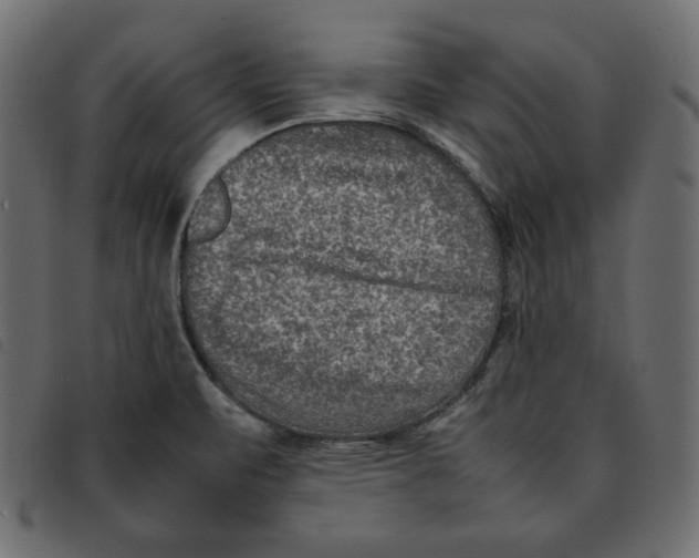 X0000092251471200710121249
