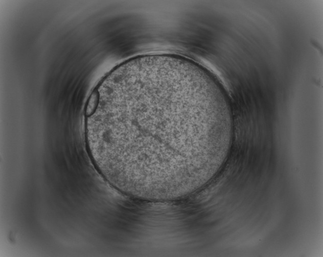 X0000092251472200710121249