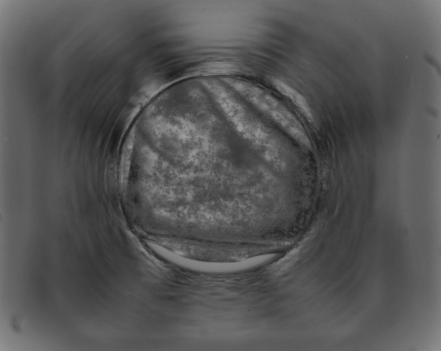 X0000092251473200710121249