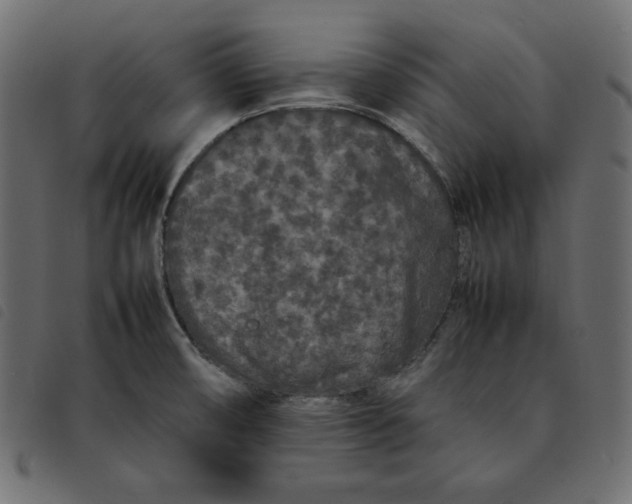 X0000092251474200710121249