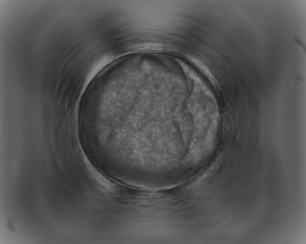 X0000092251475200710121249