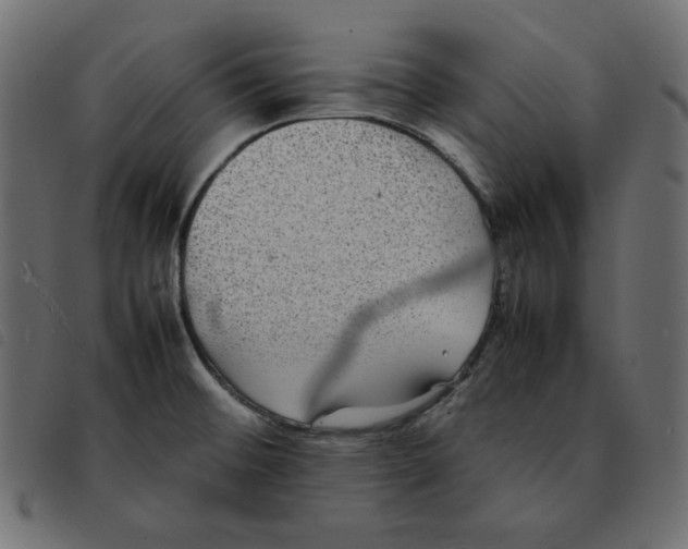 X0000092251476200710121249