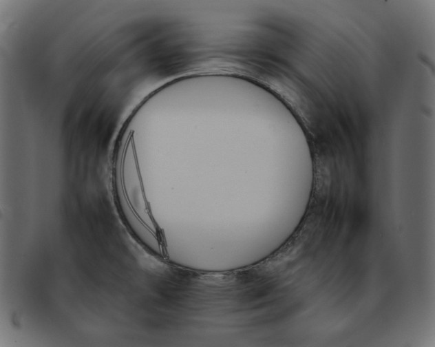X0000092251478200710121248