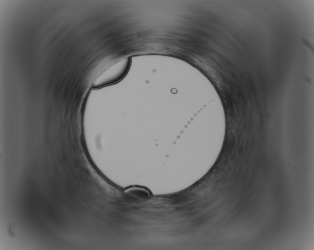 X0000092251479200710121248