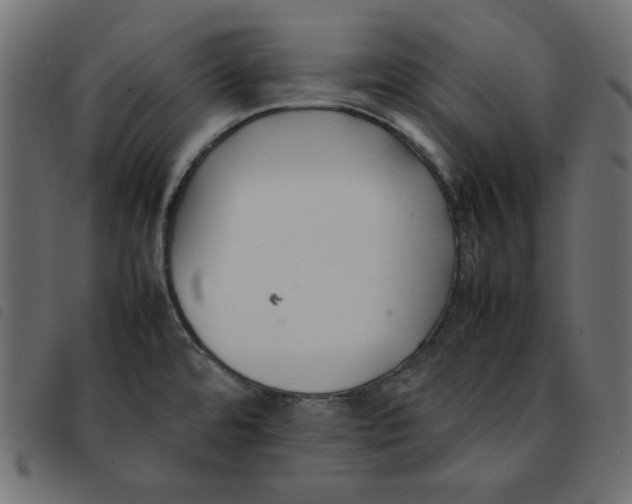 X0000092251480200710121248