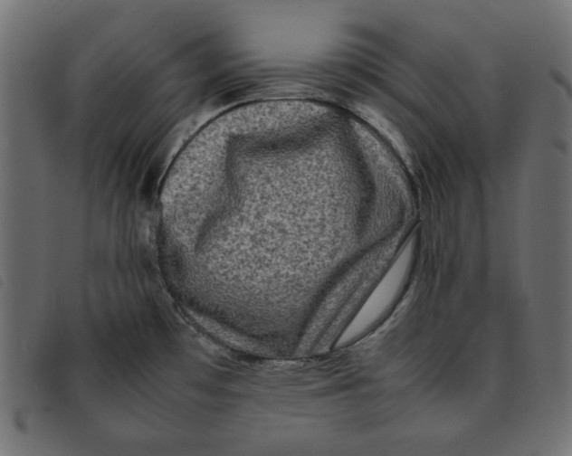 X0000092251481200710121248