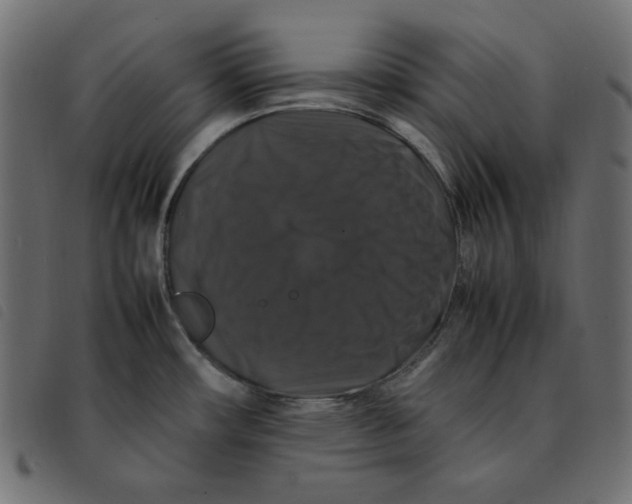 X0000092251482200710121248