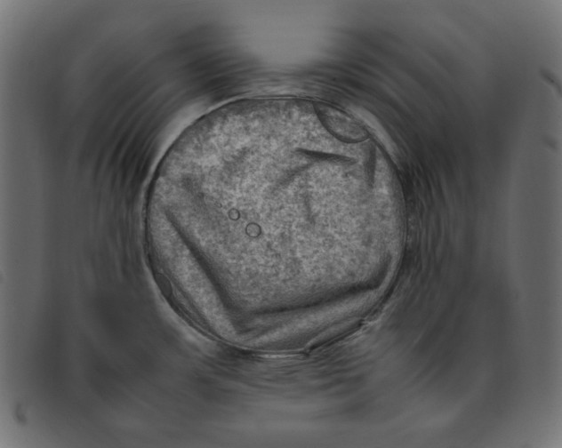 X0000092251483200710121248