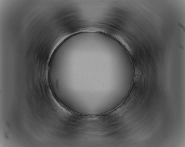 X0000092251484200710121248
