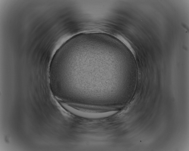 X0000092251485200710121248
