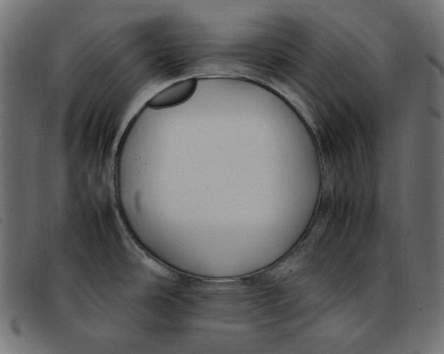 X0000092251486200710121248