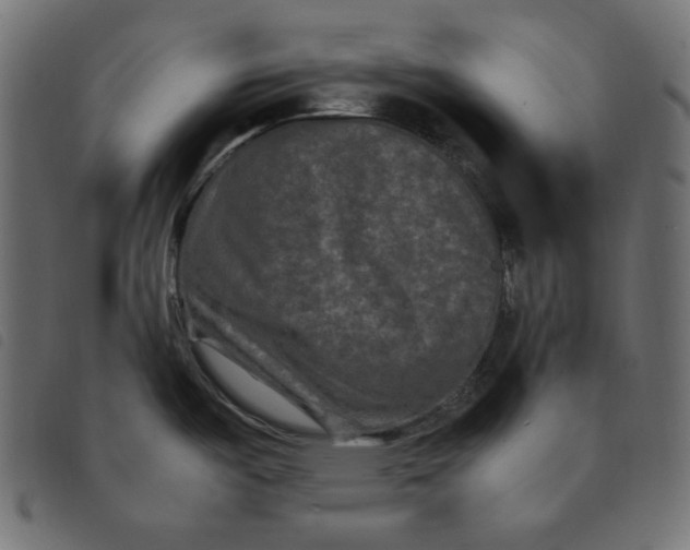 X0000092251487200710121248
