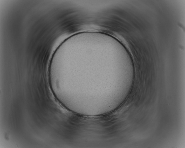 X0000092251488200710121248