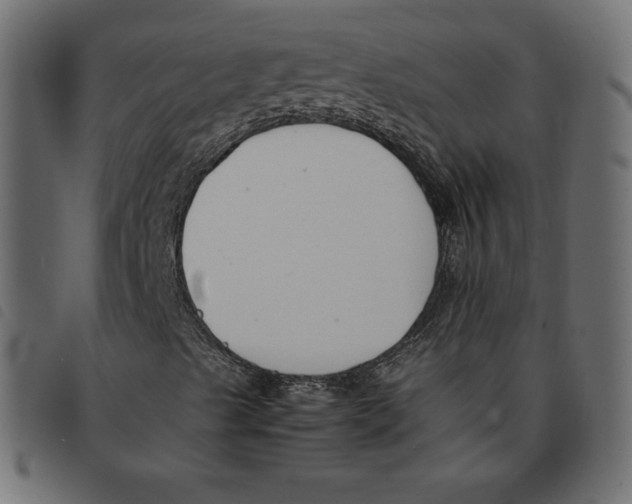 X0000092251489200710121248
