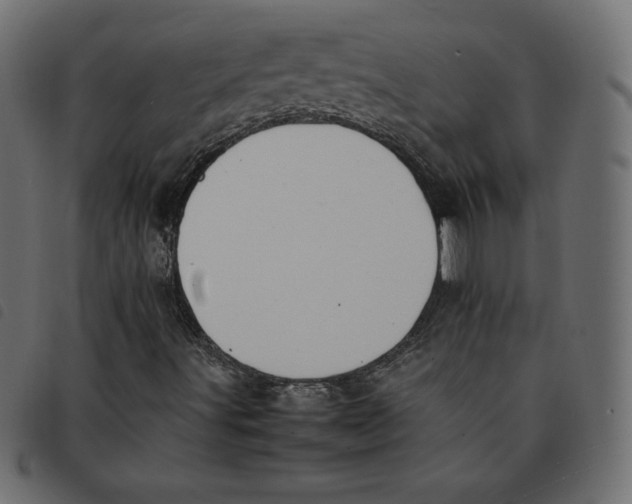 X0000092251491200710121248
