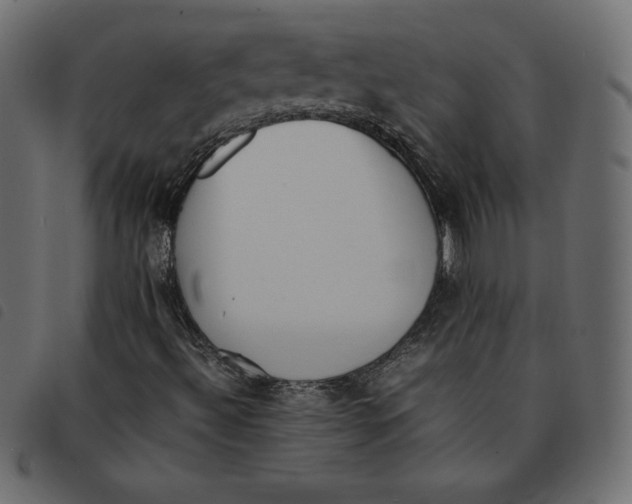 X0000092251492200710121248
