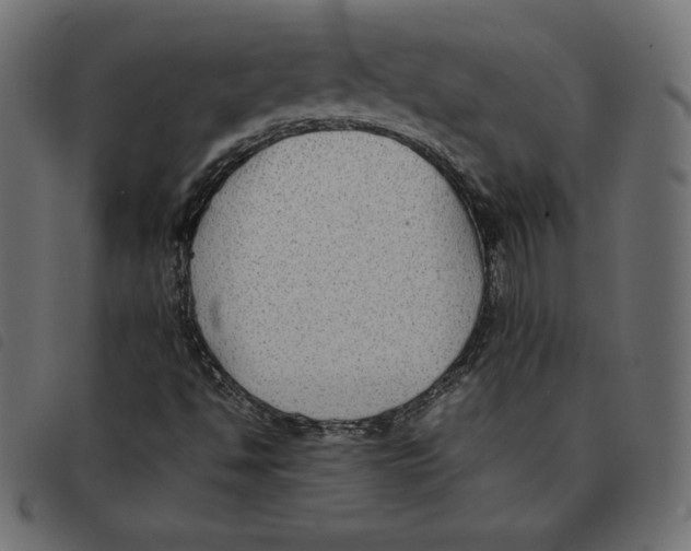 X0000092251494200710121248