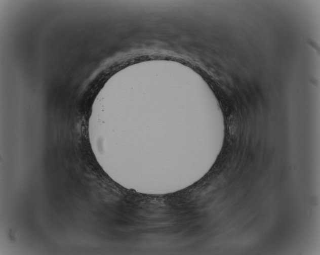 X0000092251495200710121248