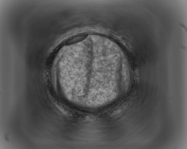 X0000092251496200710121248