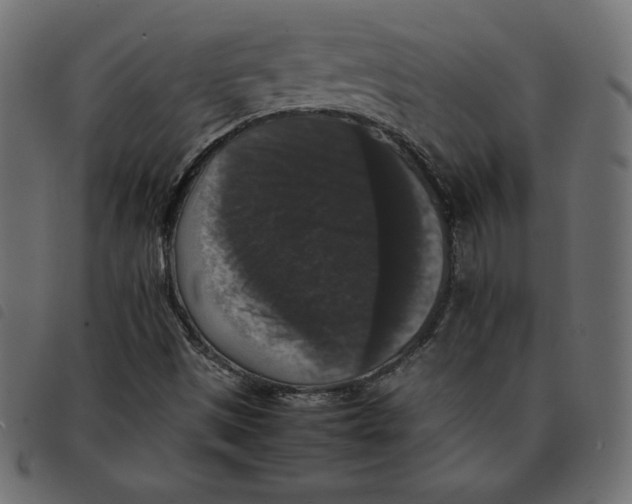 X0000092251497200710121248