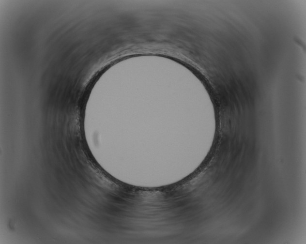 X0000092251498200710121248