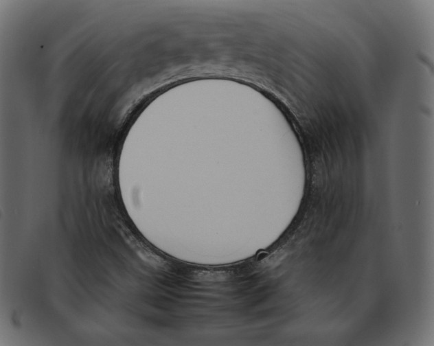 X0000092251499200710121248