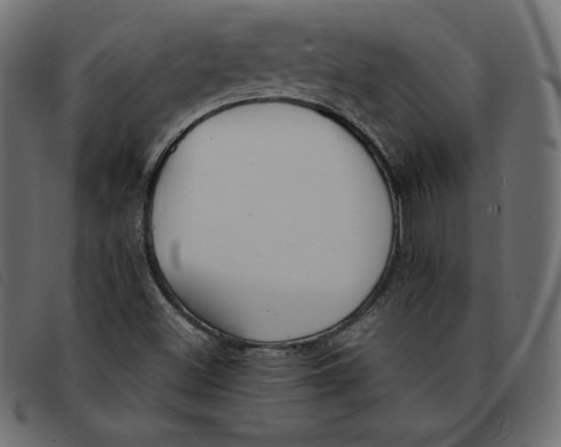 X0000092251500200710121248