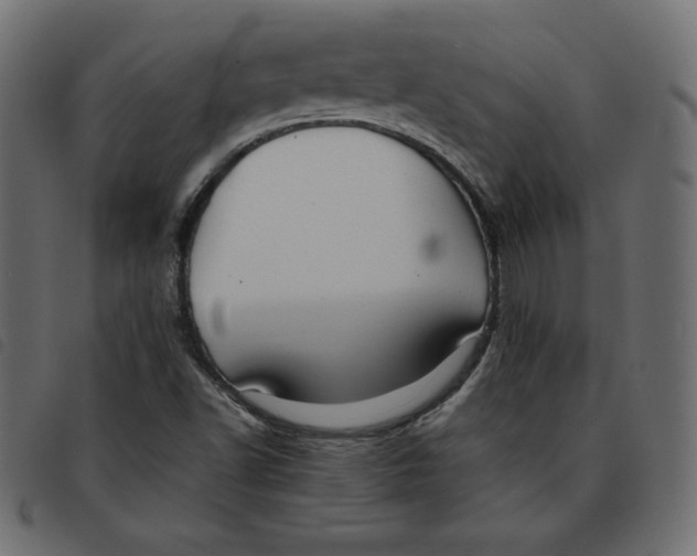 X0000092251502200710121248